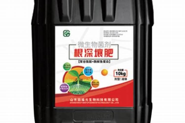 蓝莓在移栽的时候,需要用生根粉浇灌吗？
