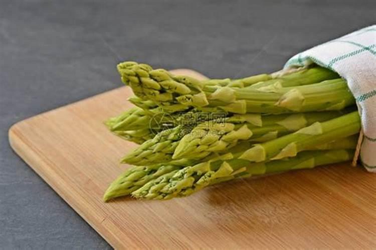 有机肥是指什么肥料