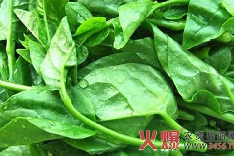 我想给丝瓜,黄瓜,木耳菜施叶面肥,请问用什