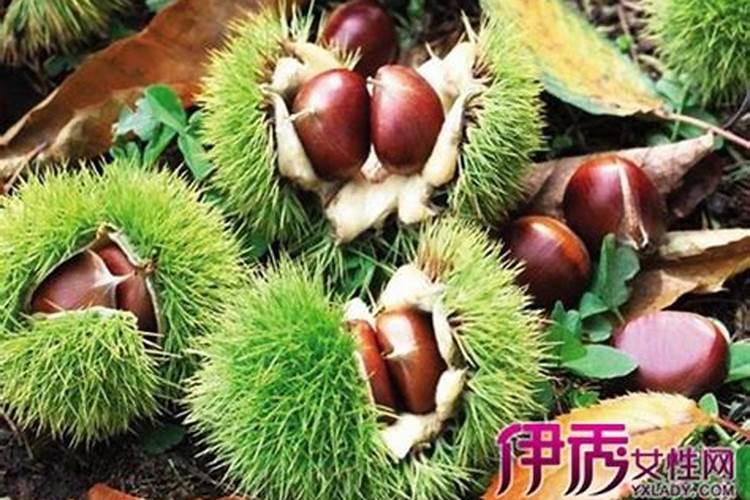 氯化钾肥料能用在什么植物上 氯化钾肥料怎么使用