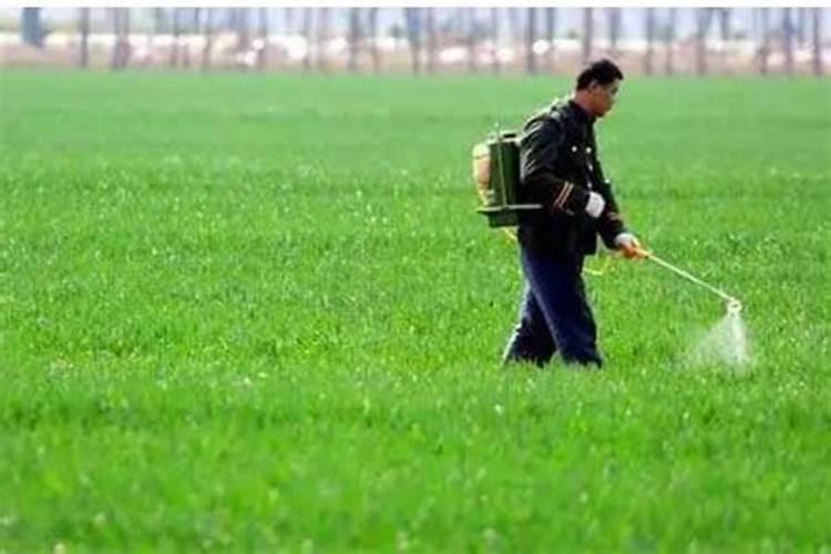 水稻打除草剂后几天进水,附除草剂药害症状及补救措施