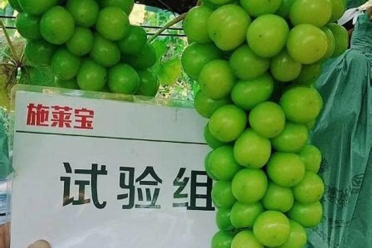 纯硫酸钾上花椒树椒会红么