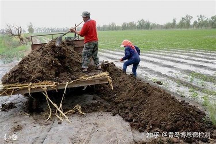 种地瓜用什么肥料当底肥