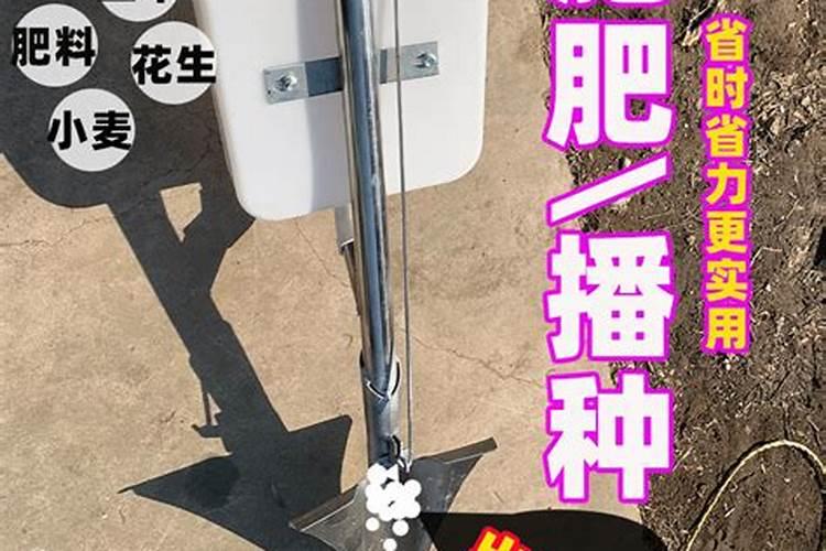 瓜果蔬菜喷叶面肥有什么好处