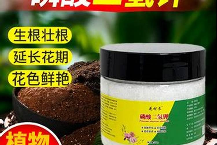 用什么肥好 牡丹施肥方法