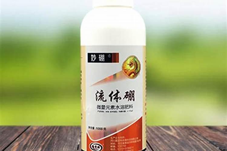 简述三种DNA聚合酶的作用特点和主要功能