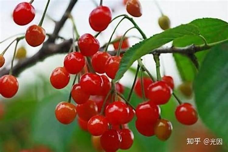 慧农科技(西安)有限公司怎么样