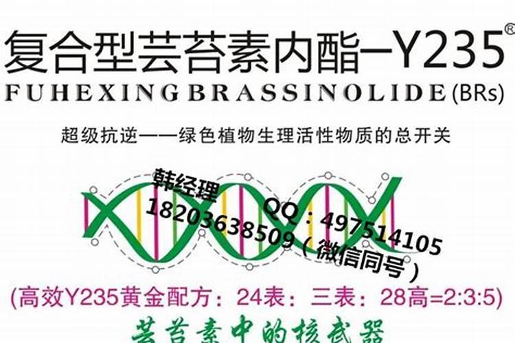 海藻鱼蛋白母液属于危险品吗