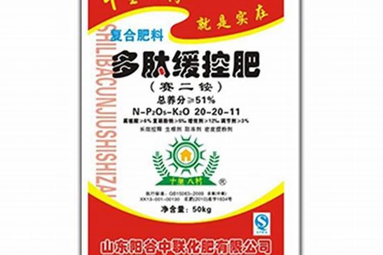 山东省鲁西化工股份有限公司第五化肥公司