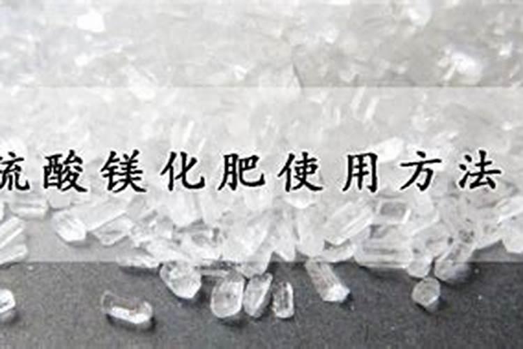 红菠萝种植方法和注意事项