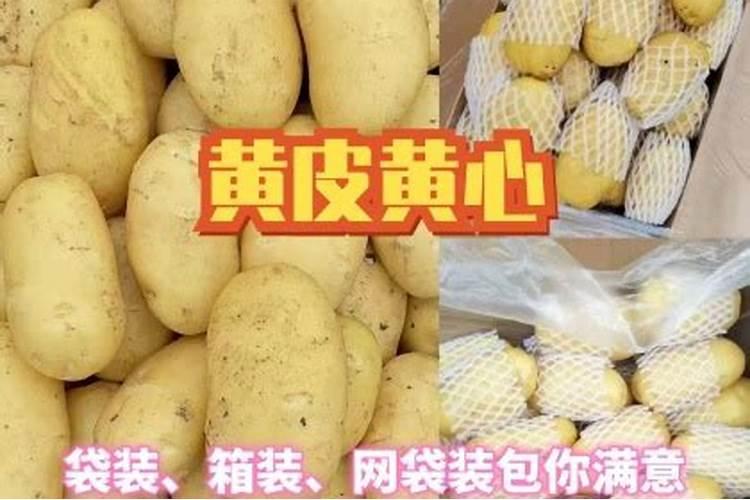 黄铜紫铜哪个容易生锈