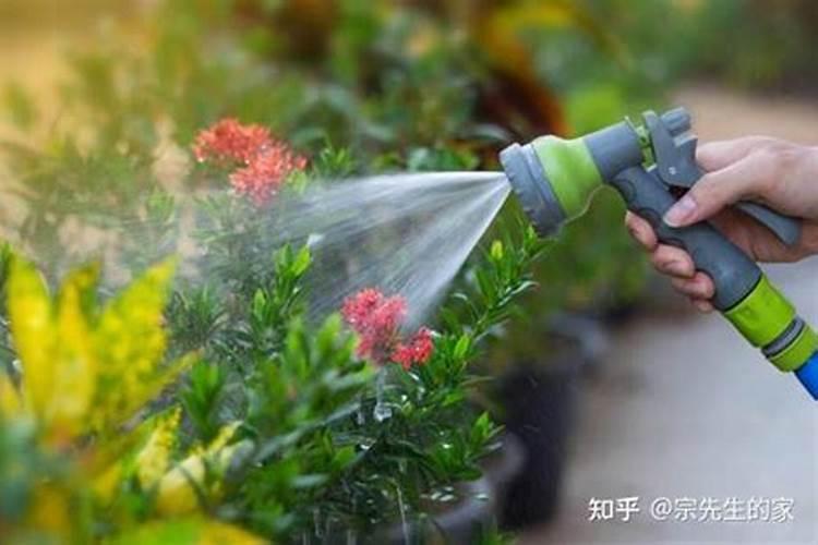 种瓜果怎么使用磷酸二氢钾 有什么使用的技巧