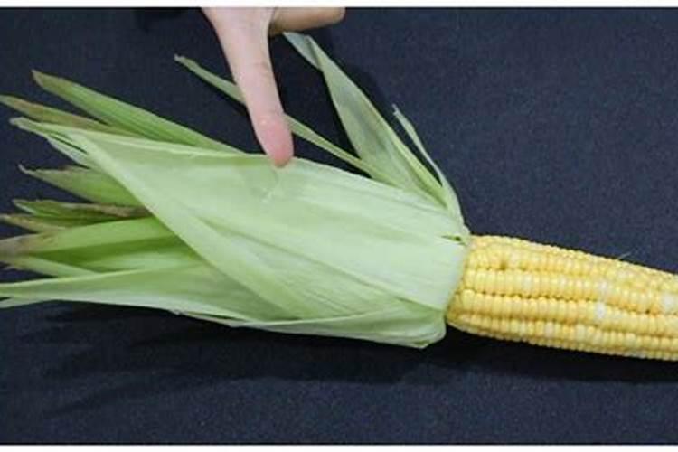玉米须打权 吗？
