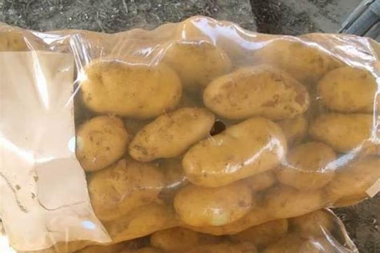 土豆施肥的方法 如何给土豆施肥