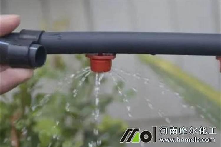 颗粒缓释肥和复合肥的区别(缓释肥和复合肥的区别是什么)
