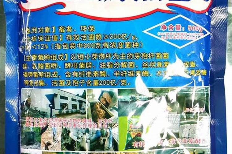 死鱼当肥料多久腐熟