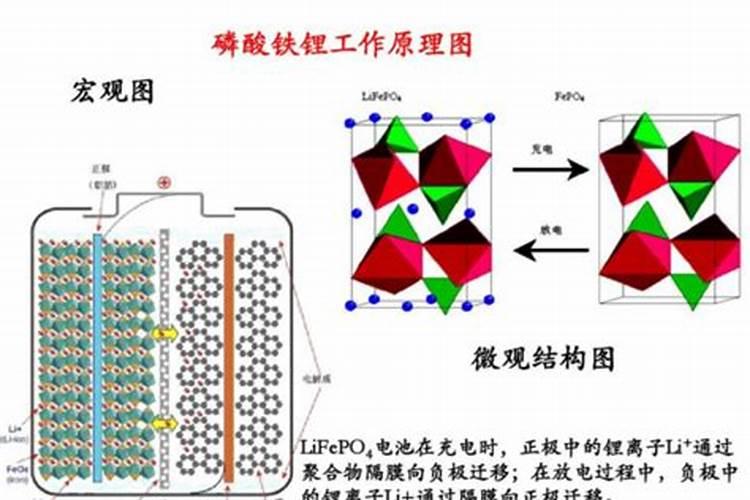长寿花施肥方法