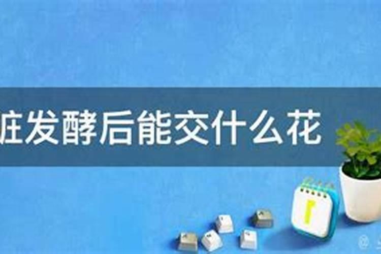 鱼肠肥和粪肥哪个有机