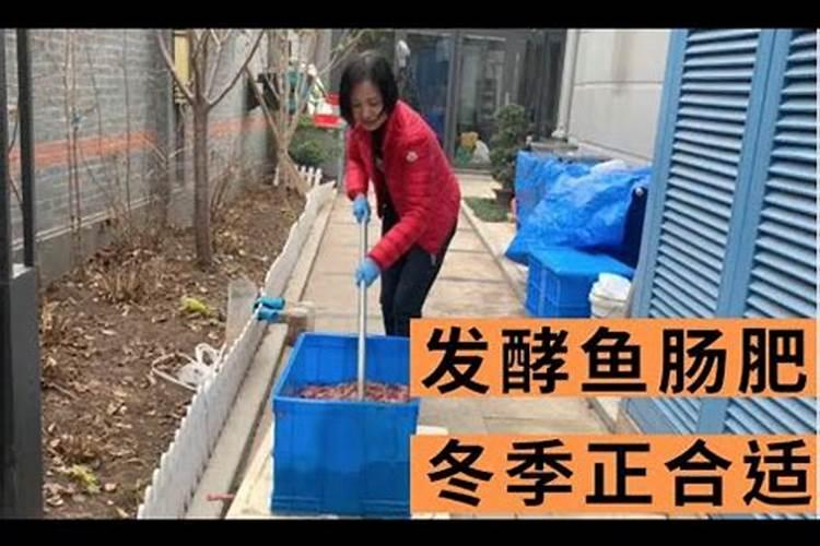 鱼内脏能否做肥料。如果能,为什么？