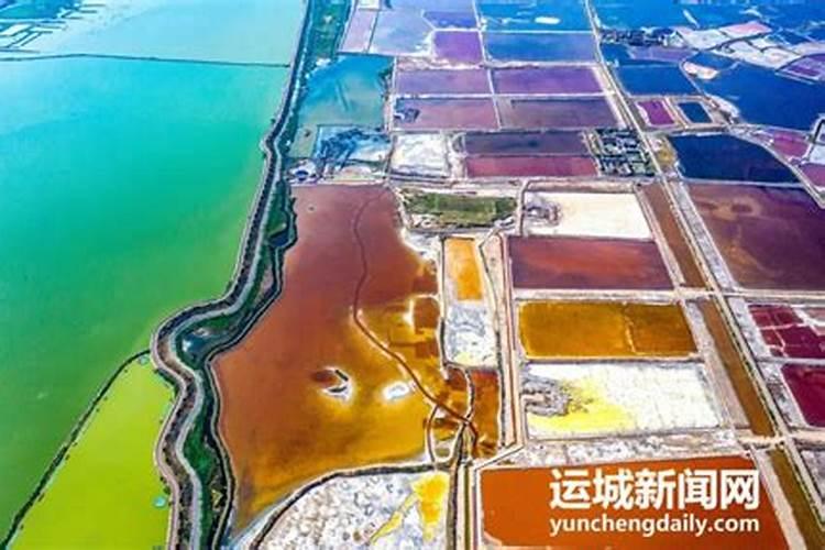 花椒树能用生鱼杂作肥料吗？