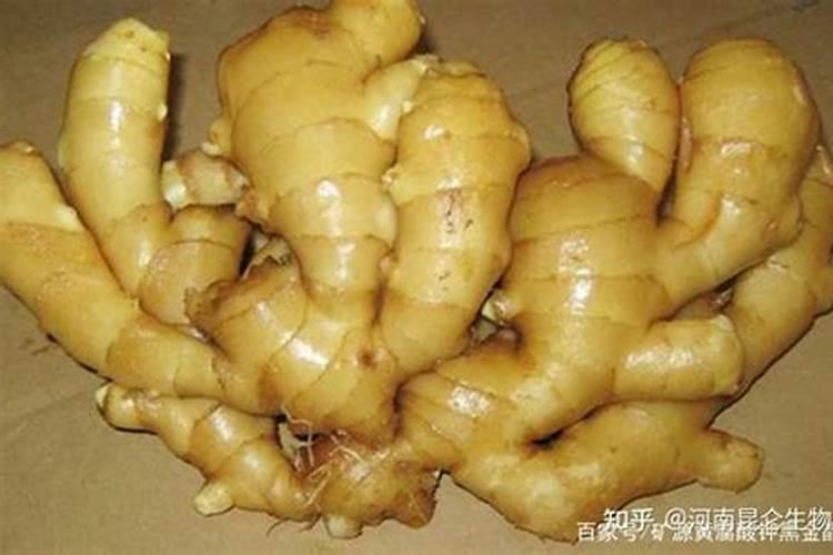向日葵用什么肥料好
