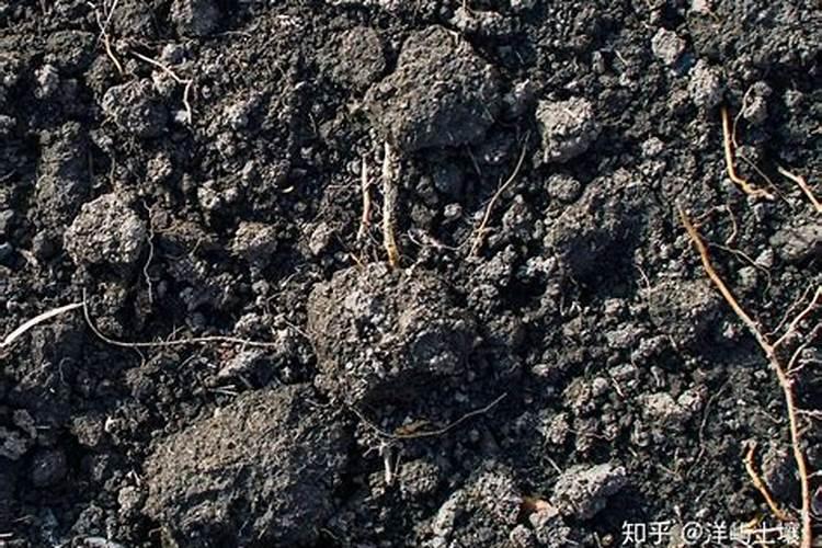 黑土与黑钙土有什么区别？
