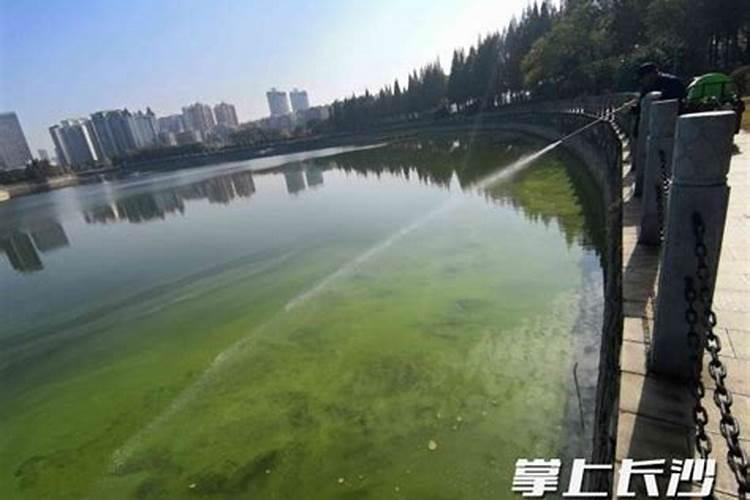 西瓜最佳你施肥时间是什么时候