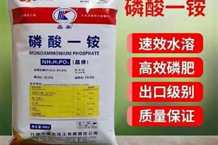 盆栽用的液体肥是什么 盆栽用的液体肥简单介绍