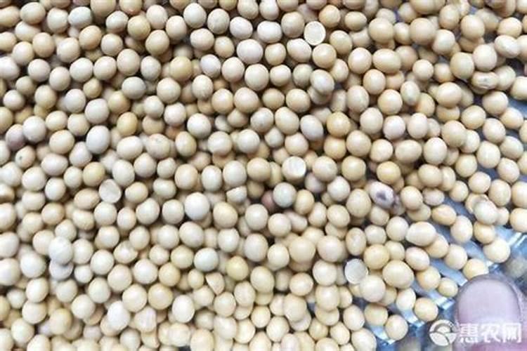 种大豆用多少肥,具体量。