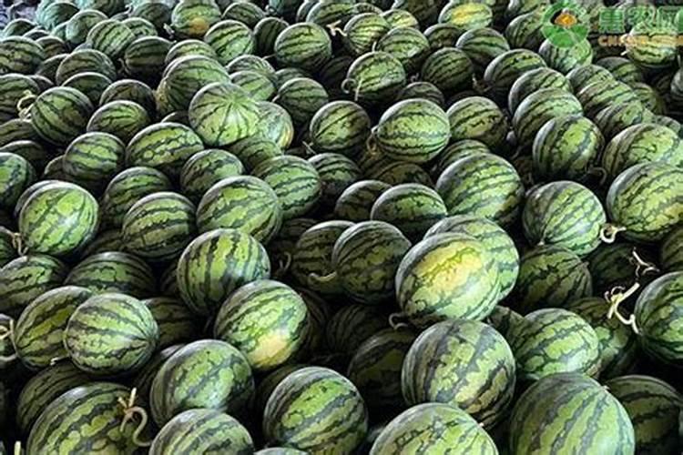 氯化钙在食品添加量多少不超标？