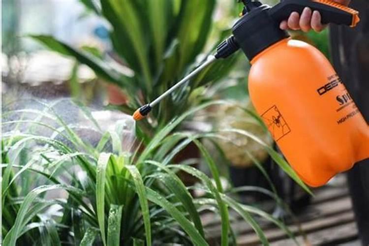 复合肥如何给植物使用 复合肥怎么给植物使用