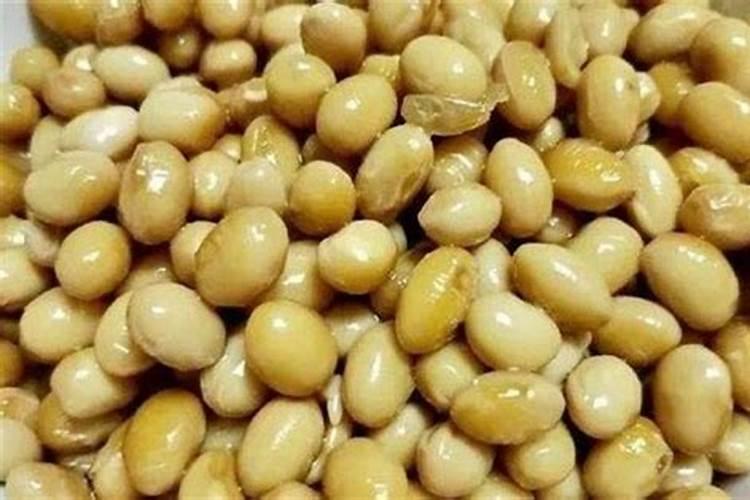 黄豆当肥料施在葡萄秧有什么好处