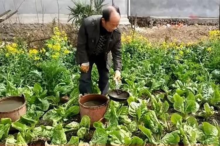 化肥中明显刺鼻气味的物体是什么肥