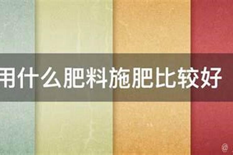 种黄花梨要用什么肥料