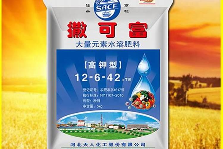 水溶肥后多久能浇水