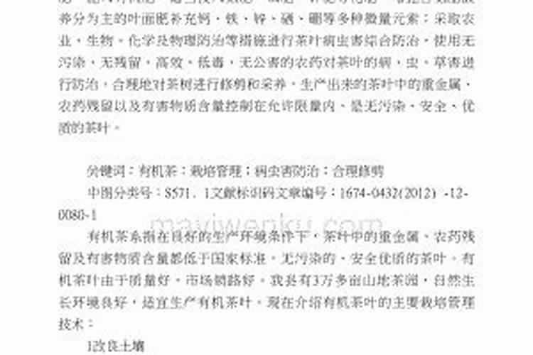 茶园夏季管理建议 茶树怎么养殖施肥