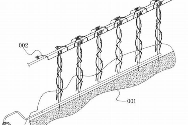 滴灌尿素的肥效期是多少天？