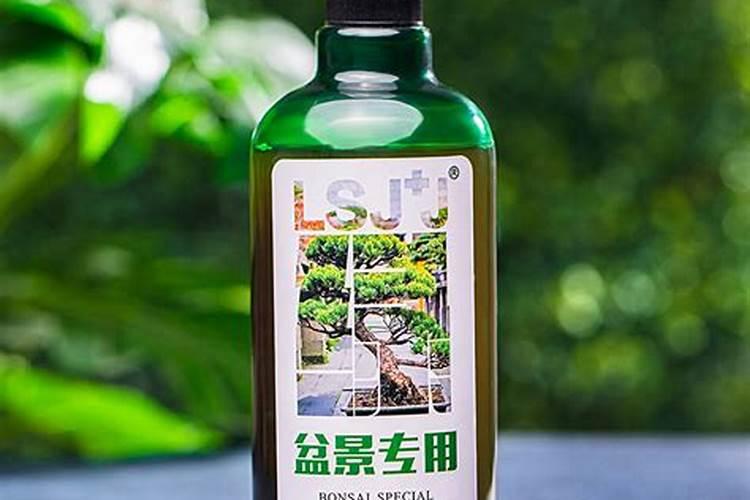 罗汉松施什么肥好