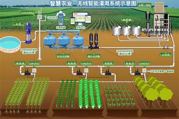 请问一下施加复合肥要用土盖住吗？还是是不是施了复合肥后尽量不要浇水...
