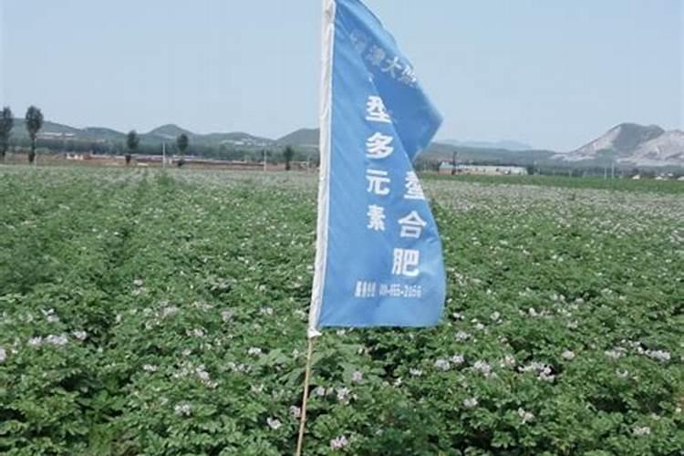 沙土地怎么改良土壤