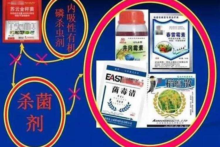 晋升农艺师职称专业技术工作总结