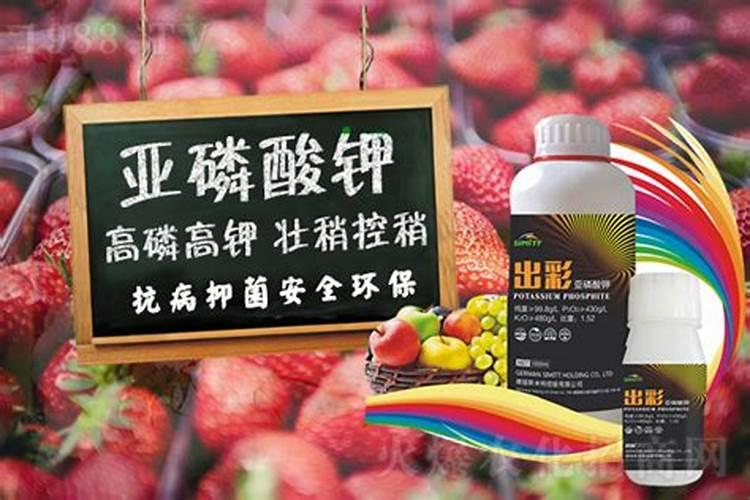 亚磷酸钾控旺多长时间见效、能使用在共秋葵上吗？如何使用