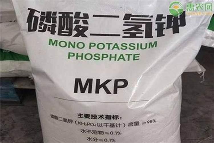 茶树南方施肥的时间和方法