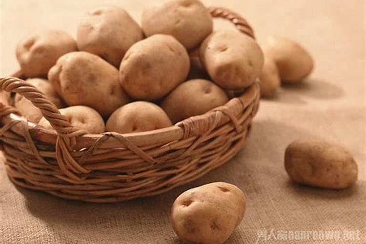 怎么正确使用蔬菜叶面肥
