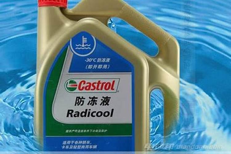 幸福树叶子冻紫了怎么补救