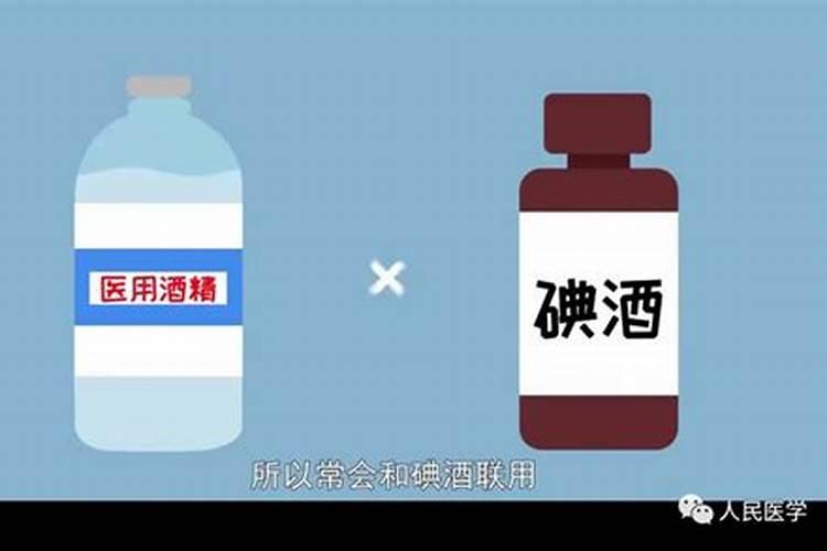 三角梅叶子蔫了怎么救三？