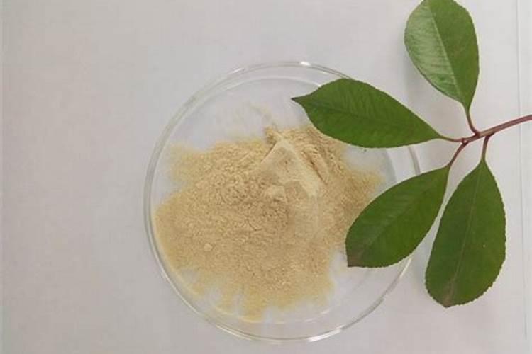 黑水肥料养花;发酵肥水浇花比例