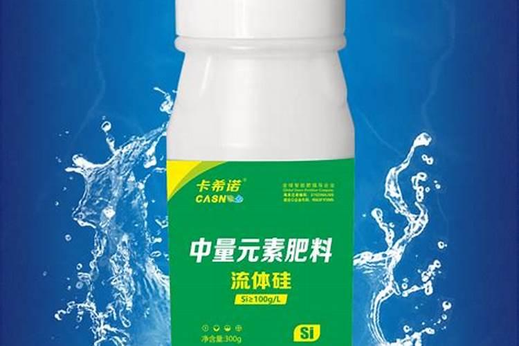 柚子树怎么剪枝 修剪技术与图解