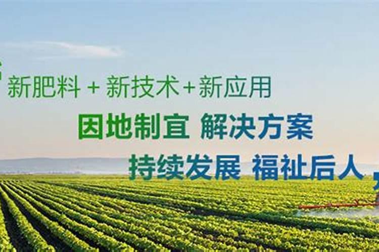 棉花苗期氮磷钾比例