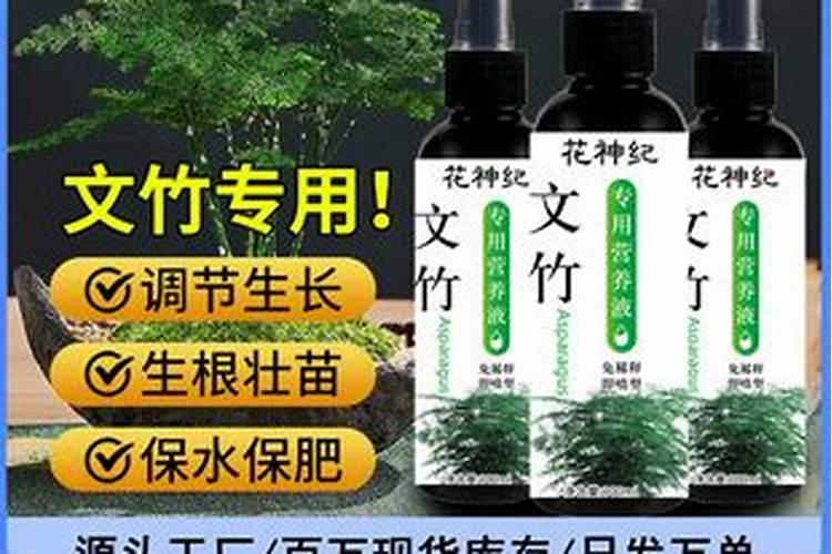 文竹施什么肥料好 文竹施肥用什么肥料